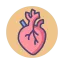 Ilustração de Cardiologia na Clínica Cognus
