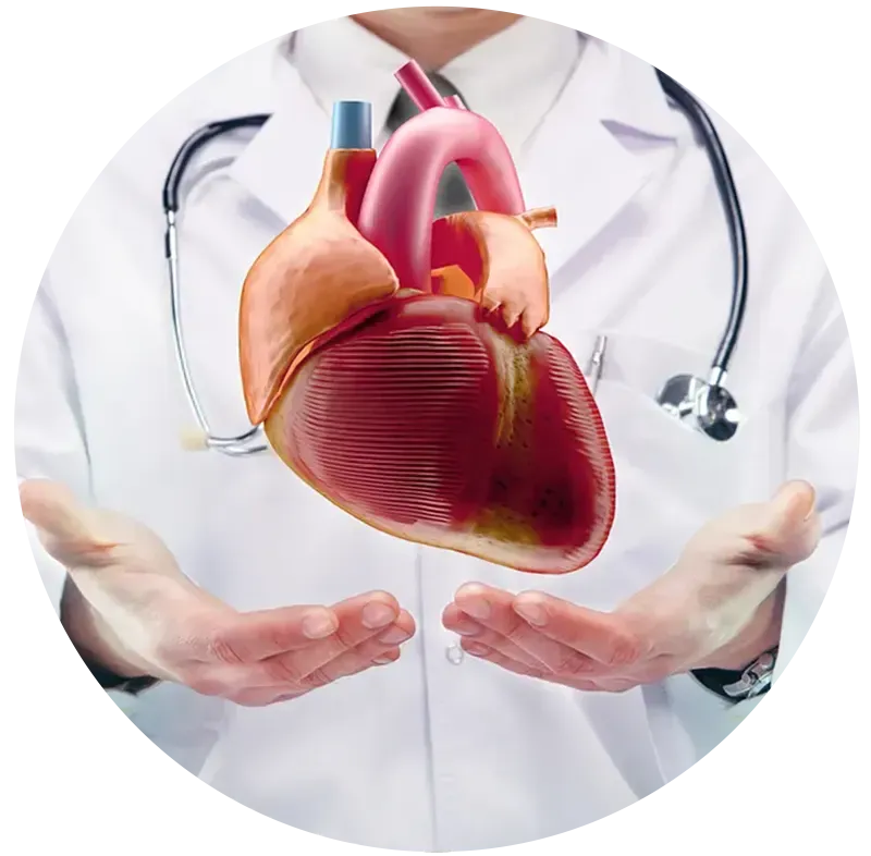 Exame de ecocardiograma em Brasília na Clínica Cognus, Asa Sul